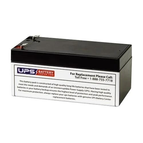 RBC47 Spill Proof Maintenance-Free Battery