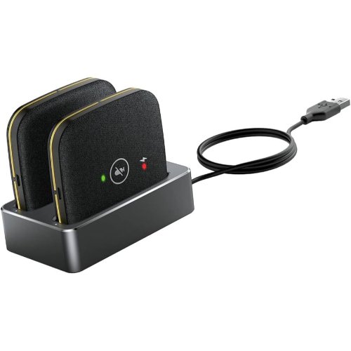 CPW65-DECT-DUO
